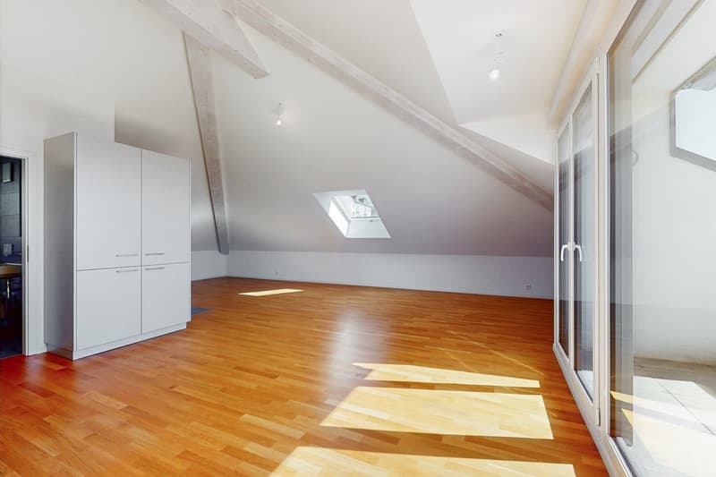 Superbe loft sous les combles (3)