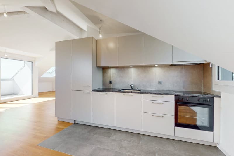 Superbe loft sous les combles (6)