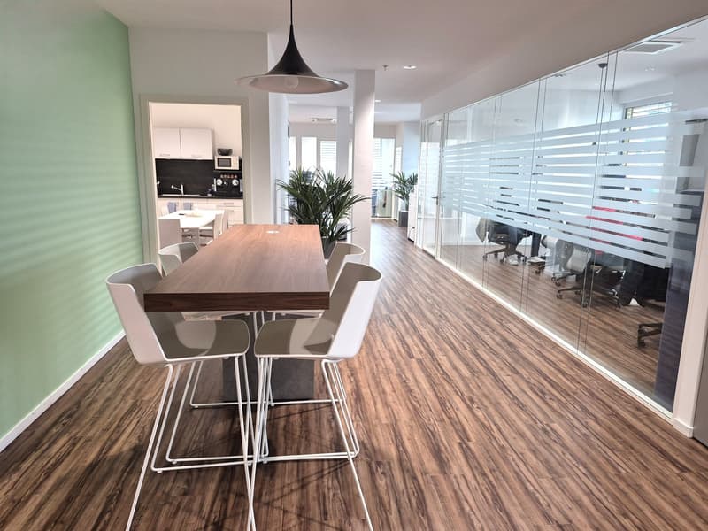 Modern and functional plug-and-play offices (3)