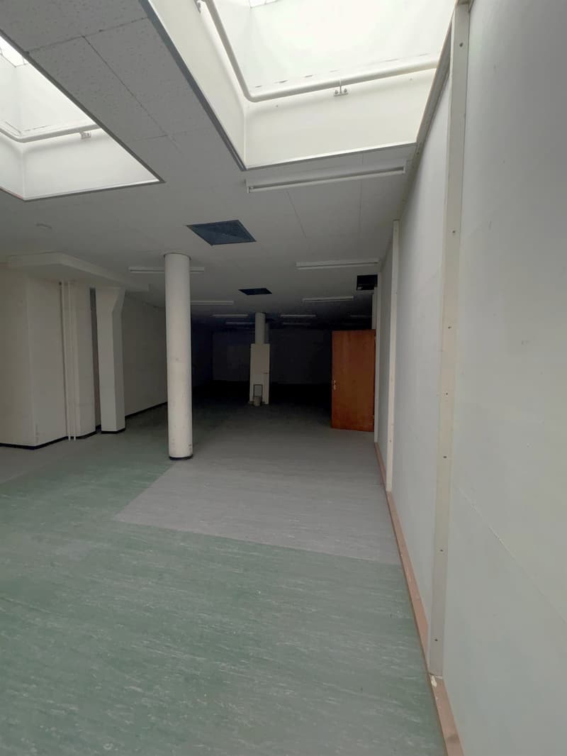 Aree di stoccaggio nel cuore di Basilea (3)