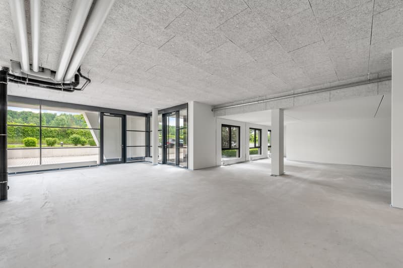 Büro- oder Ladenteilfläche in der modernen Überbauung Sennenwies (7)
