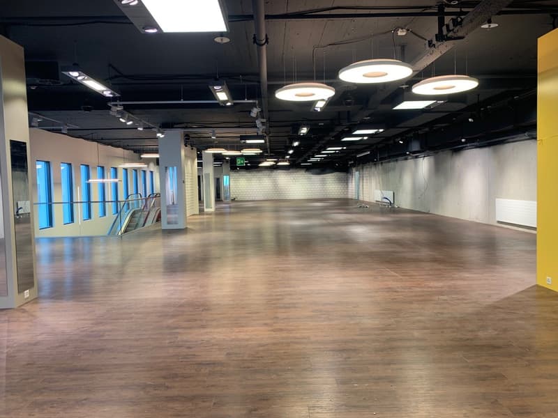 TOP POSIZIONE e 1'264 m² di area di vendita (4)