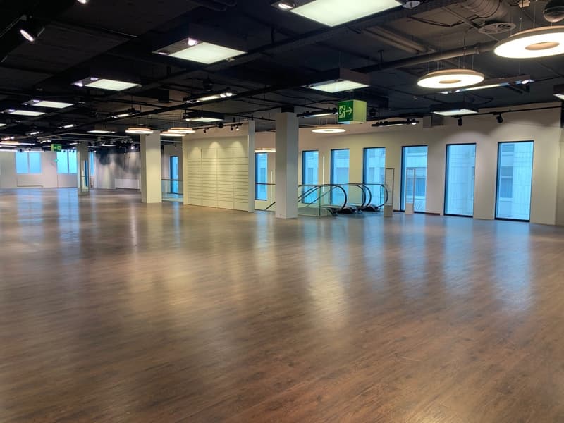 TOP POSIZIONE e 1'264 m² di area di vendita (3)