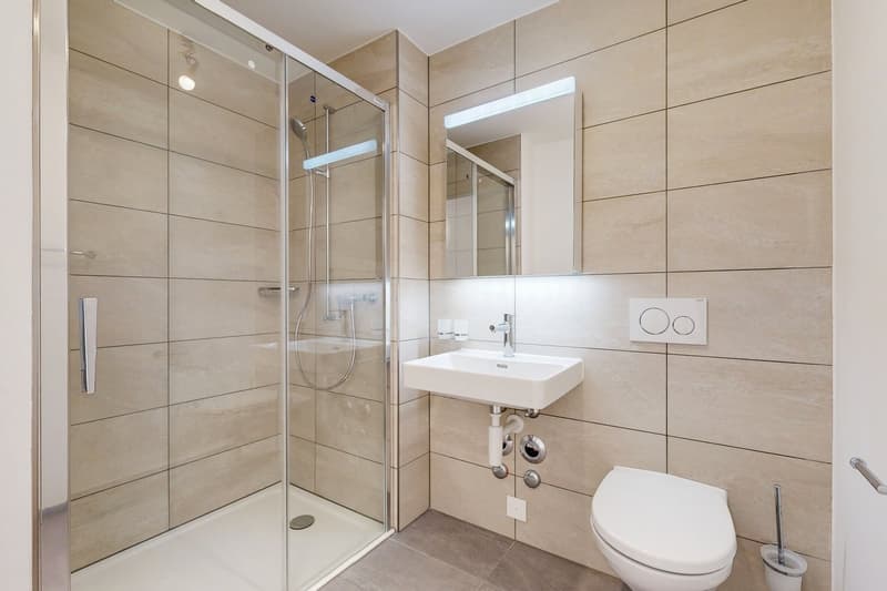 Lélégance moderne à portée de main (11)