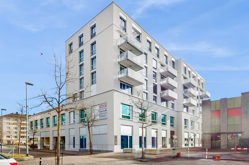Lélégance moderne à portée de main (12)