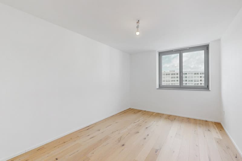 Lélégance moderne à portée de main (6)
