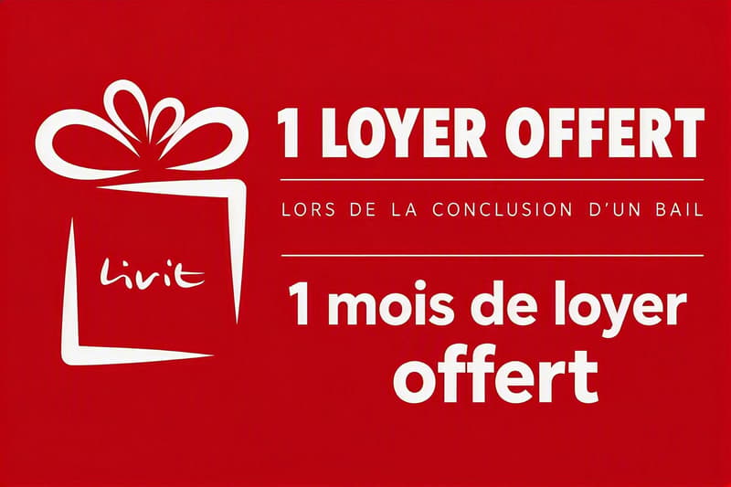 Magnifique duplex à Fribourg proche de la gare - 1 mois de loyer offert (13)