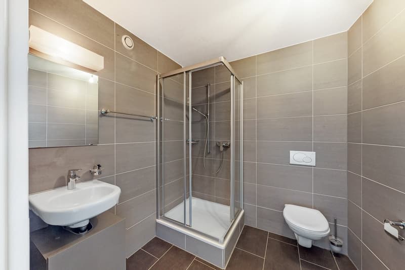 Magnifique duplex à Fribourg proche de la gare (9)