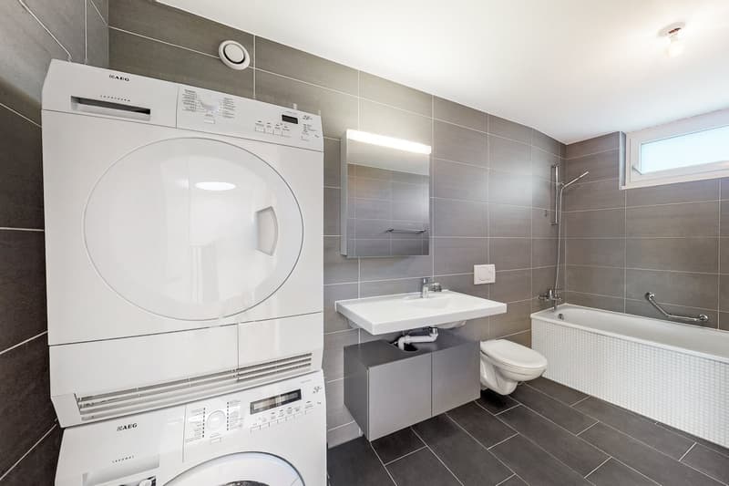 Magnifique duplex à Fribourg proche de la gare (8)