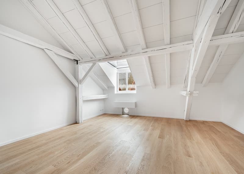 Einzigartiges Wohnen im Herzen der Winterthurer Altstadt (7)