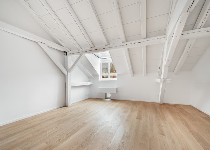 Einzigartiges Wohnen im Herzen der Winterthurer Altstadt (7)