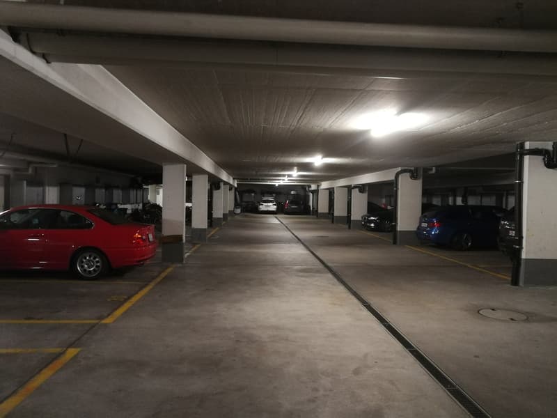 Is your car looking for a roof over its head? (3)