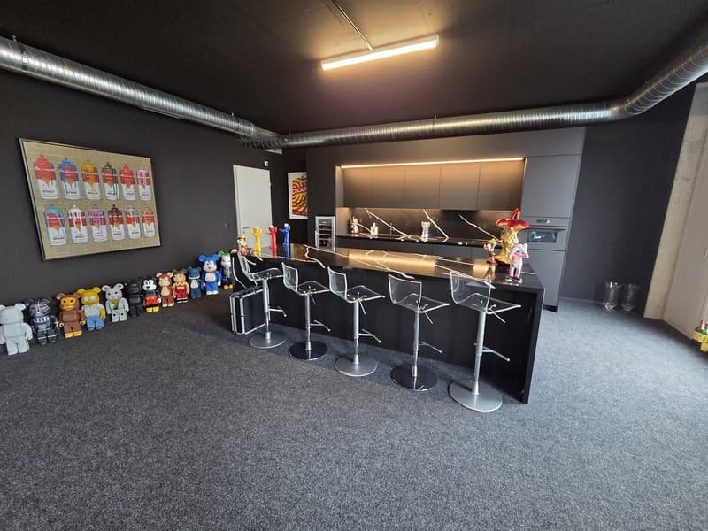 Bureaux de 160m2 dans l'éco-quartier des Plaines-du-Loup (3)