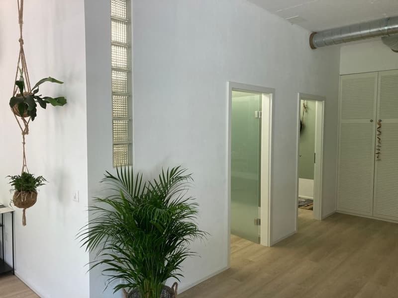 Espace commercial attractif dans la fonderie d'acier (6)