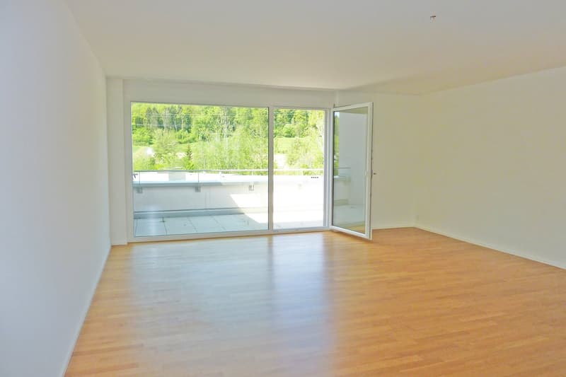 Appartamento mansarda moderno su Wildbach (2)