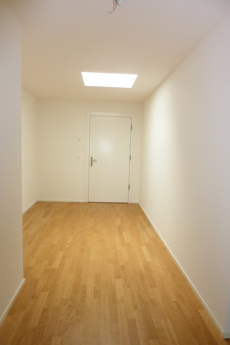 Appartamento mansarda moderno su Wildbach (8)
