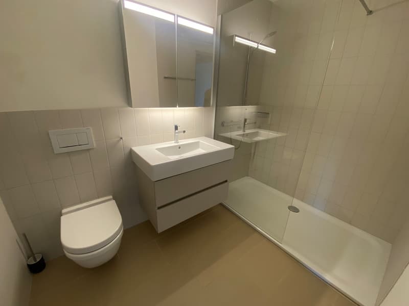 Appartamento single moderno a Zurigo con terrazza sul tetto spaziosa! (4)