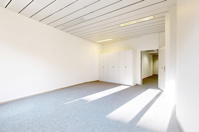 Suchen Sie einen Arbeitsraum im Stadtzentrum von Neuchâtel? (5)