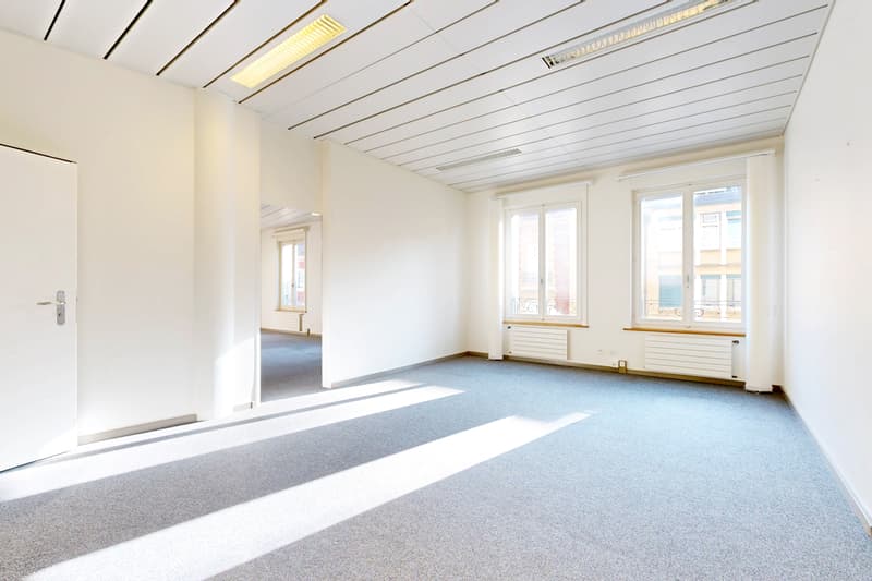 Suchen Sie einen Arbeitsraum im Stadtzentrum von Neuchâtel? (6)