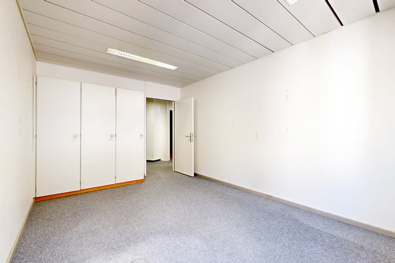 Suchen Sie einen Arbeitsraum im Stadtzentrum von Neuchâtel? (9)