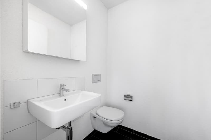 Espace de bureau moderne près de la gare de Dietikon (7)