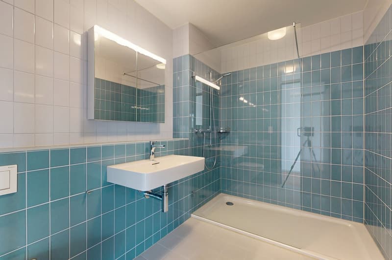 À la recherche d'un appartement central et moderne ? (7)