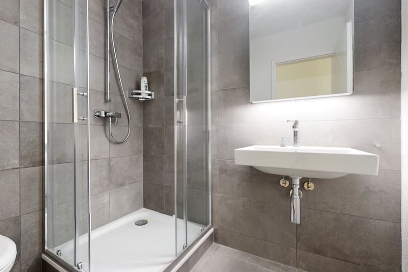 Appartements rénovés - 5.5 pièces Rue Marcello, Fribourg (9)
