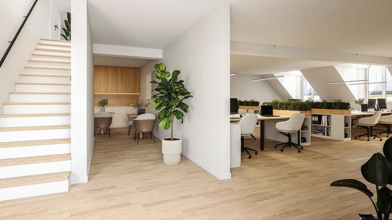 Mein neues Büro im Haus mit der ältesten Leuchschrift von Bern! (3)