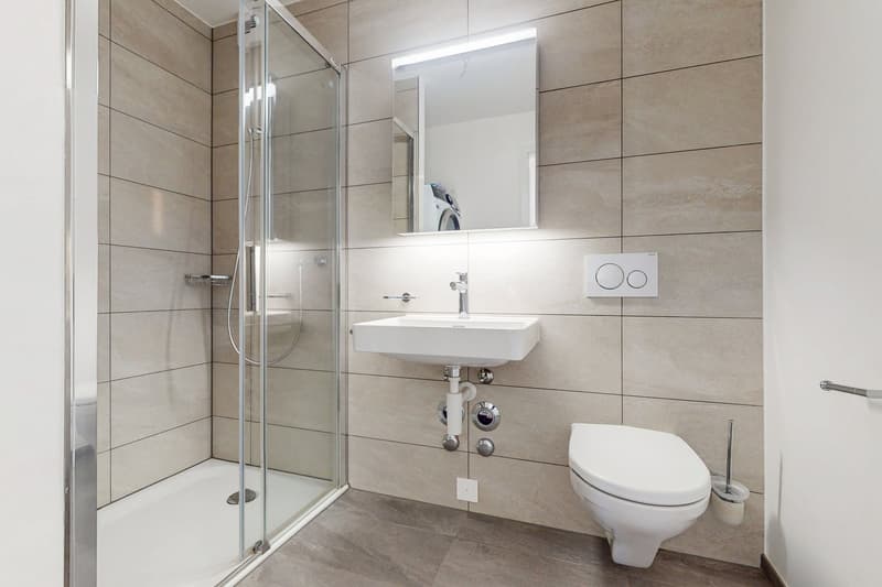 Appartement à découvrir sans tarder (8)