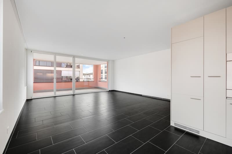 Appartement moderne dans un beau quartier (3)