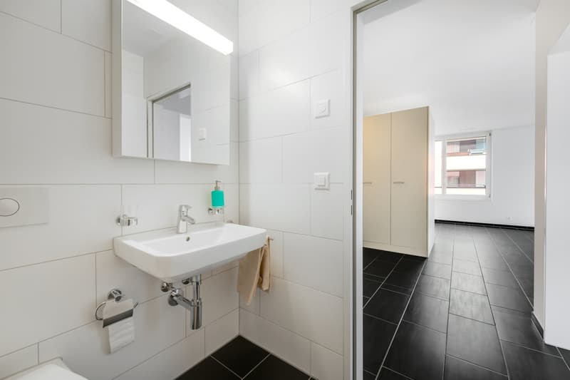 Appartement moderne dans un beau quartier (6)