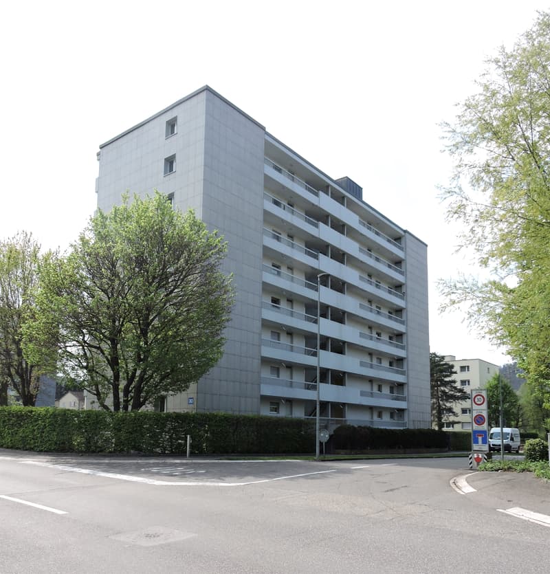 Parking space in Liestal (1)