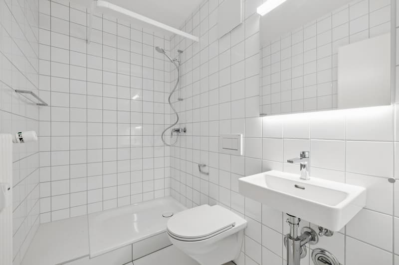 Sanierte Wohnung MIETEN OHNE KAUTION + 1 Monat Nettomietzins geschenkt (7)