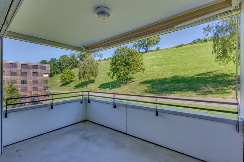 Traumwohnung mit grossem Balkon! (8)