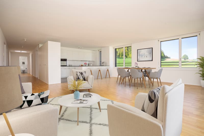 Traumwohnung mit grossem Balkon! (3)