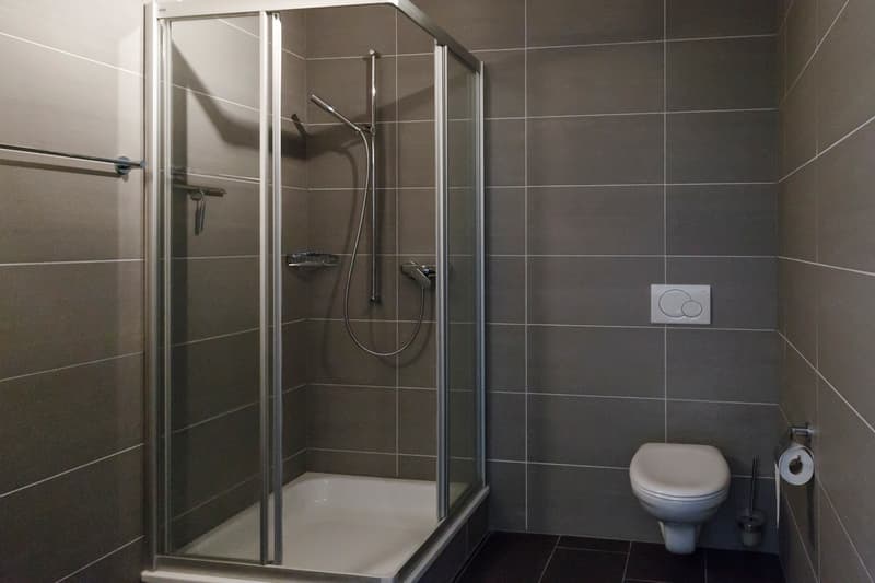 Magnifique duplex - 1 mois de loyer offert (6)