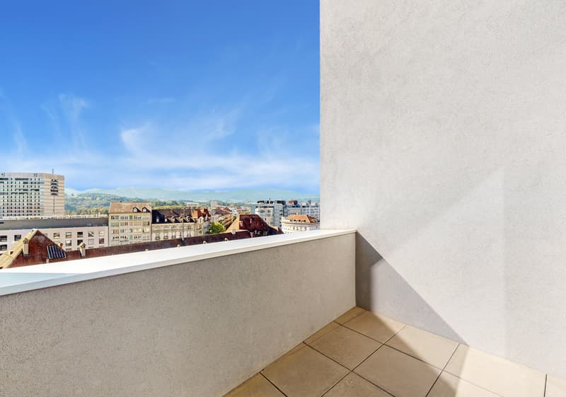 Magnifique duplex - 1 mois de loyer offert (10)