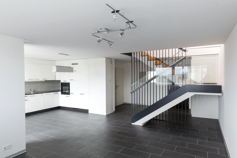 Magnifique duplex - 1 mois de loyer offert (5)