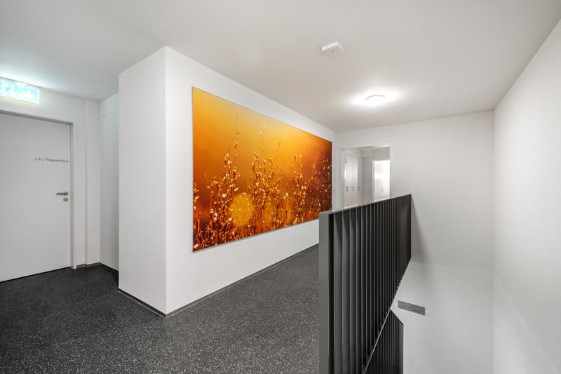 Plug & Play su Zürichstrasse (3)