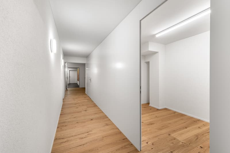 Plug & Play su Zürichstrasse (9)