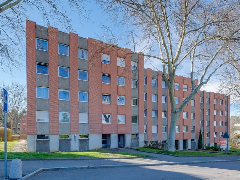Einstellplatz in Binningen gesucht? (1)