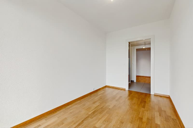 Vivere in un appartamento moderno, a due passi dal Lago di Ginevra! (9)