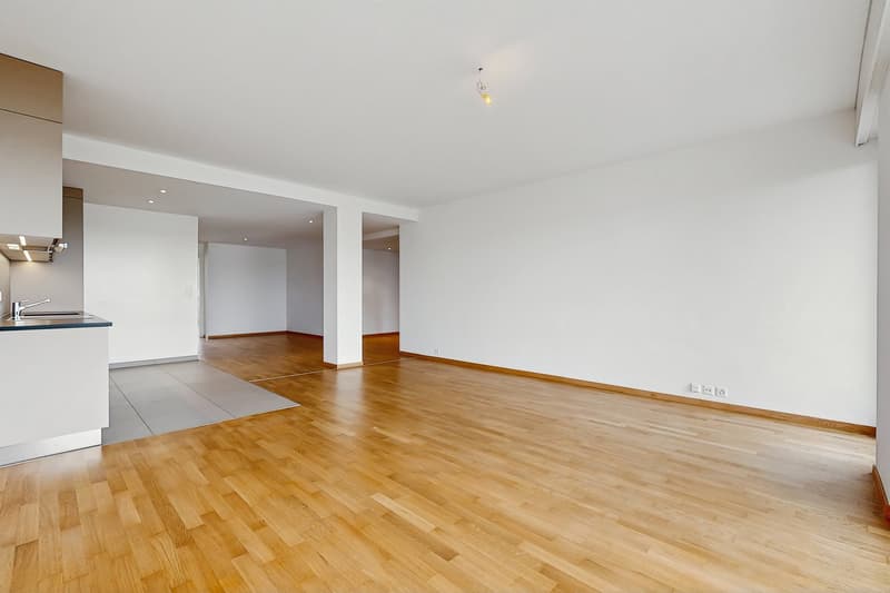 Vivere in un appartamento moderno, a due passi dal Lago di Ginevra! (3)