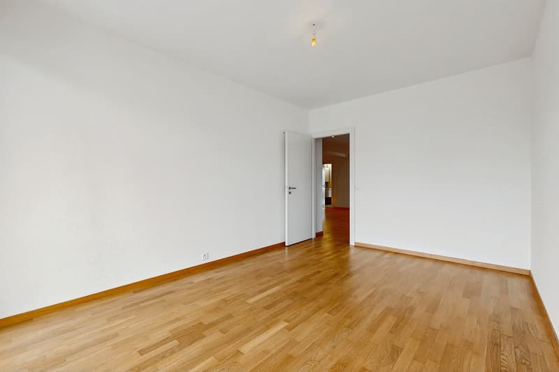 Vivere in un appartamento moderno, a due passi dal Lago di Ginevra! (7)