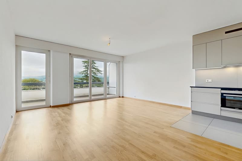 Vivere in un appartamento moderno, a due passi dal Lago di Ginevra! (2)