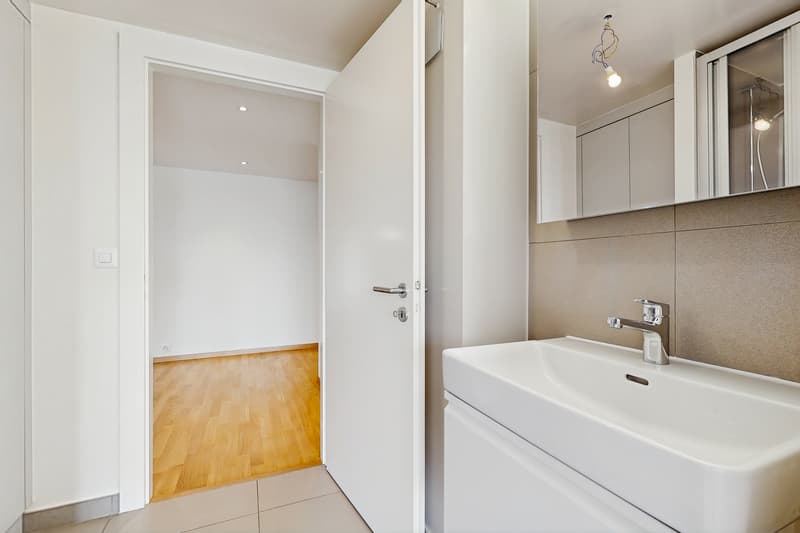 Vivre dans un logement moderne à deux pas du lac Léman ! (11)