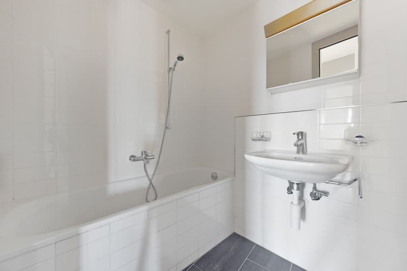 Moderne Wohnung mit grandiosem Ausblick (9)