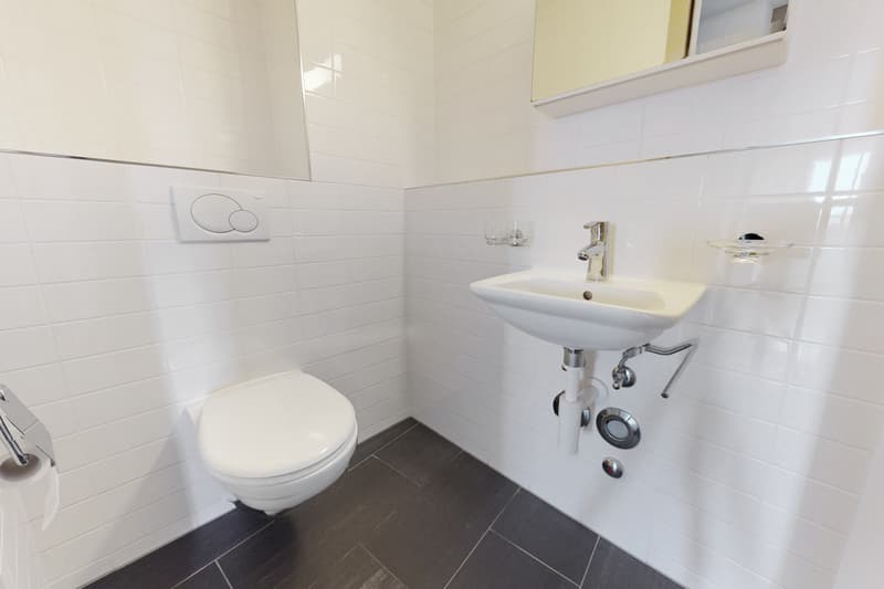 Moderne Wohnung mit grandiosem Ausblick (10)