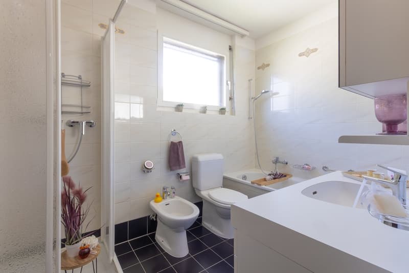 Ampio attico con camino e terrazza panoramica a Giubiasco (13)