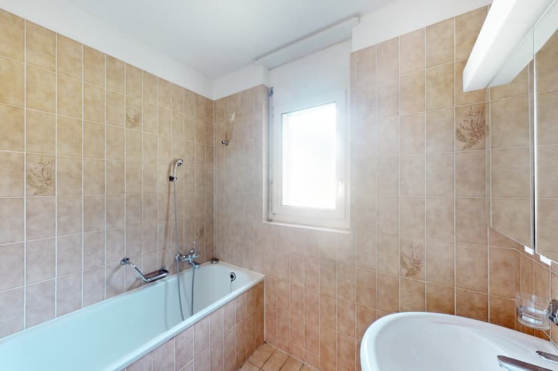 Cozy 3.5 rooms (13)